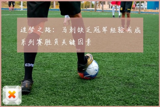 追梦之路：马刺缺乏冠军经验或成系列赛胜负关键因素
